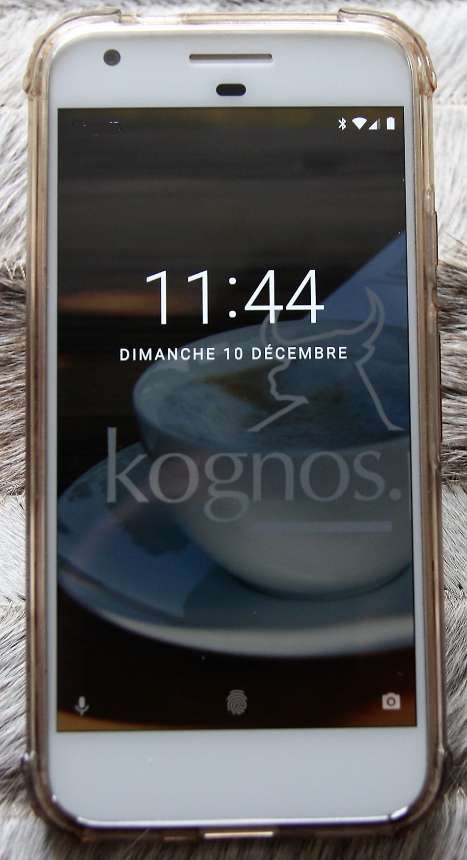 Kognos
